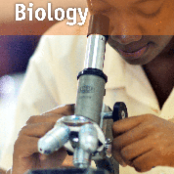 CSEC Biology May 2019 Paper 2