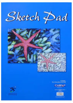 Sketch Pad 14"x17"