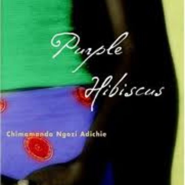 Purple Hibiscus